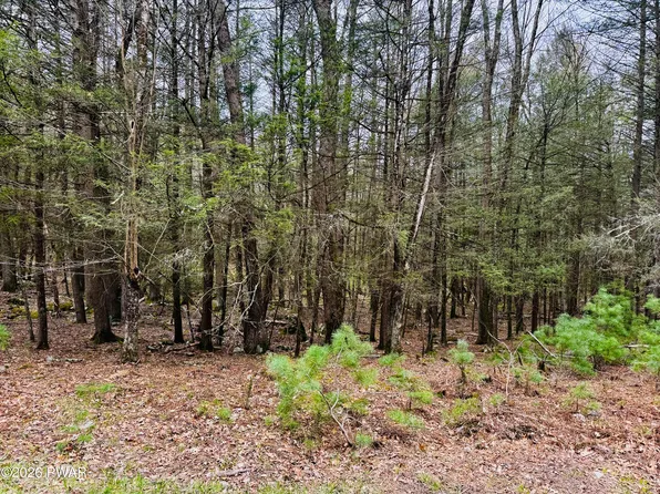 Happy Hollow Dr, Shohola, PA 18458