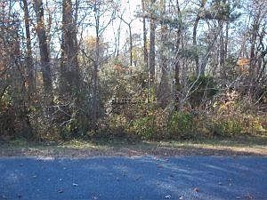 1st image of 10879 Jones Creek Cir