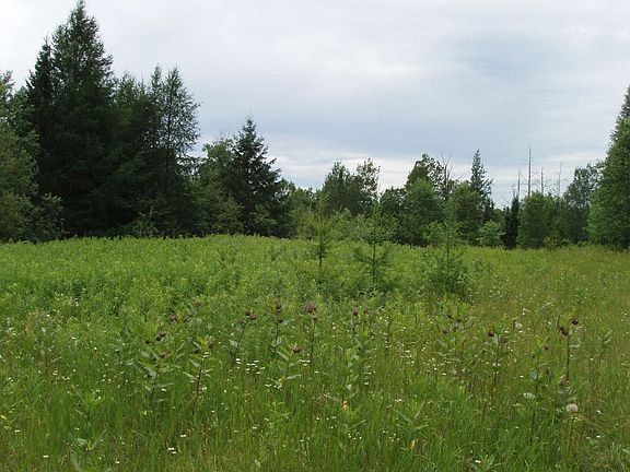 5th image of On Maple Ridge Rd