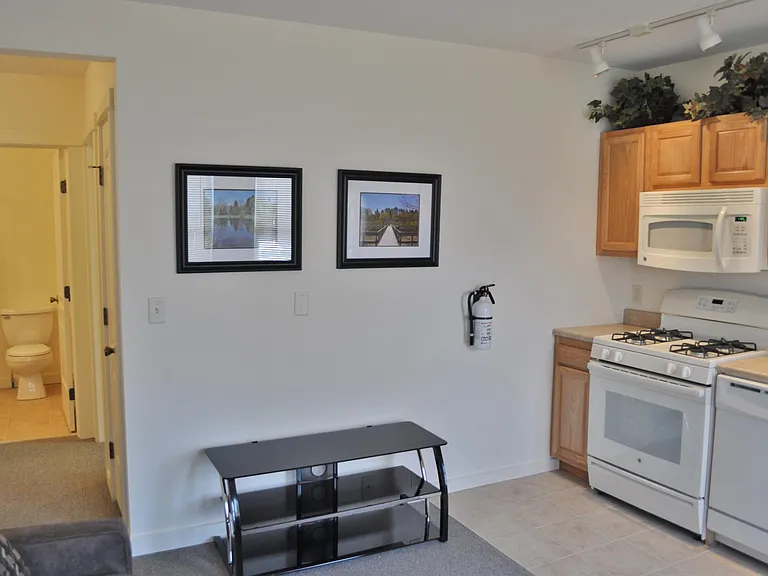 203 Williams St — Photo 28
