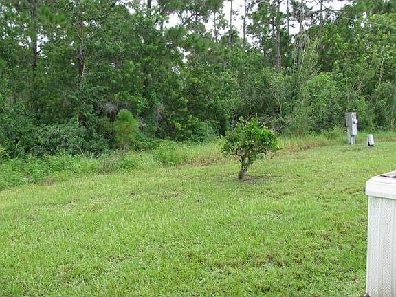 Rear yard