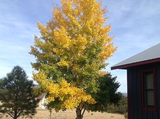 13660 County Road 261, Nathrop, CO 81236