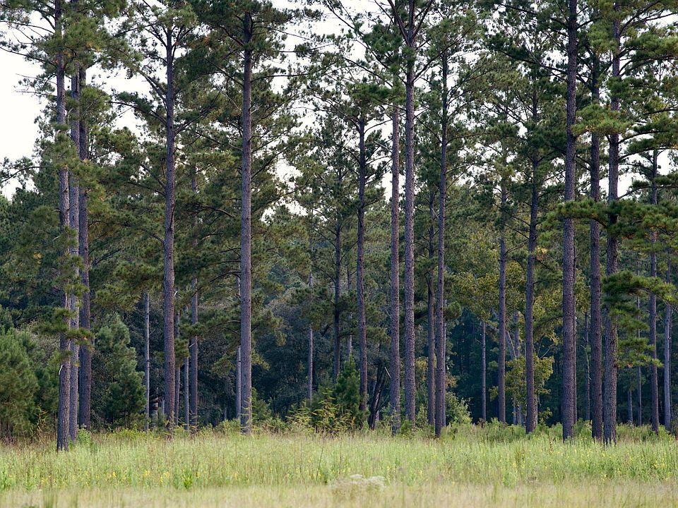 106th image of 1451 River Rd