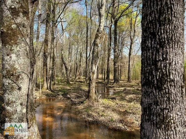 0 Donovan Rd, Harrison, GA 31035