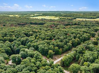 LOT 17 Pine Ave, Mears, MI 49436