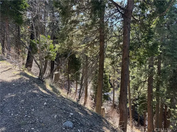 0 Sunderland Ct #684, Lake Arrowhead, CA 92352
