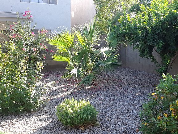 4th image of 3501 E Rosemonte Dr