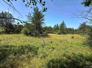 2020 2050 County Road 456 Rd, Little Lake, MI 49833