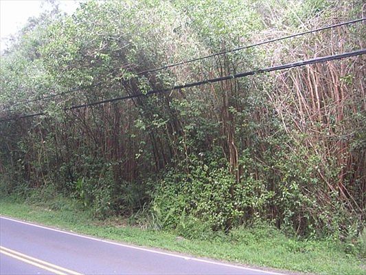 1st image of Road 8 Moho Lot 5175