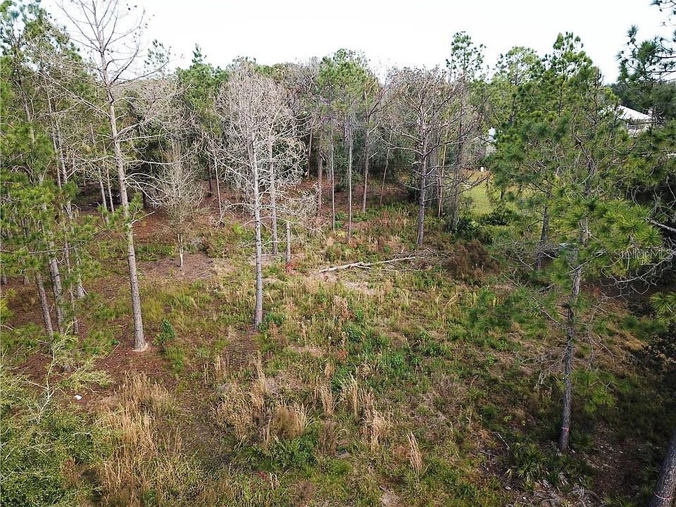 2nd image of 26843 Coral Vine Ln