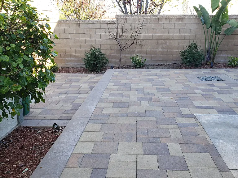 Eucalyptus Ave — Photo 21