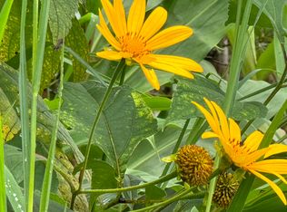 Pikake St, Mountain View, HI 96771