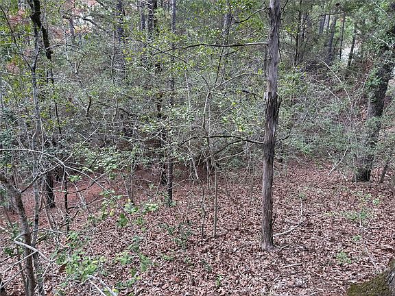 5th image of 125 Lamaloa Ln