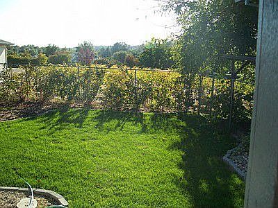 Right side of back yard; valley view