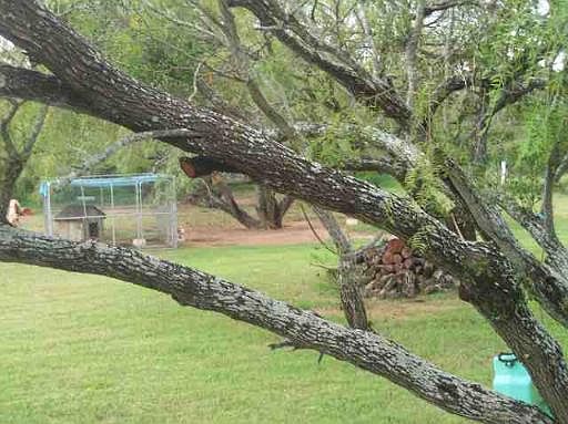 2nd image of 10721 HWY 281 N