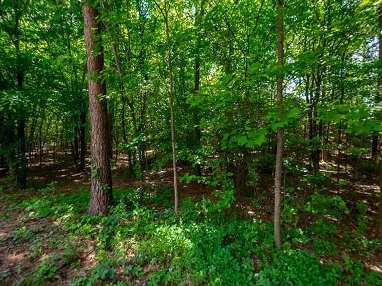 221 Allenbrooke Dr — Photo 45