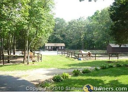Barns and riding ring