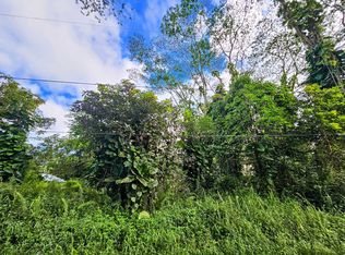 Hawaii Rd LOT 226, Pahoa, HI 96778