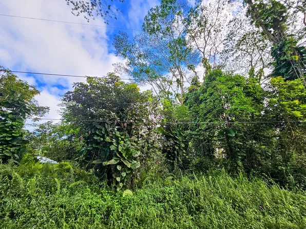 Hawaii Rd Lot 226, Pahoa, HI 96778
