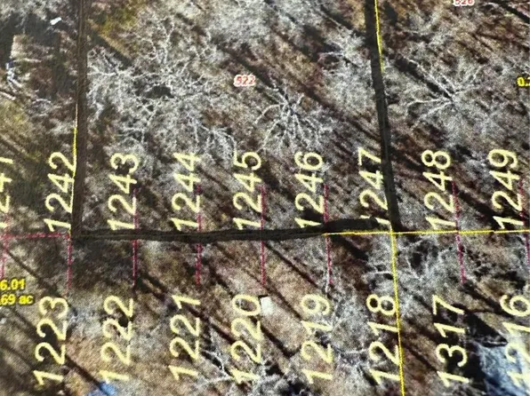 522 Elvins Dr, Bismarck, MO 63624