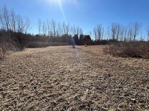 5th image of 39155 N Dilleys Rd