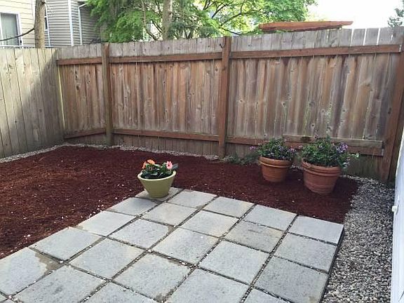 Low maintenance backyard