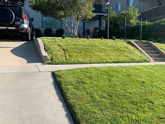 front of house + driveway