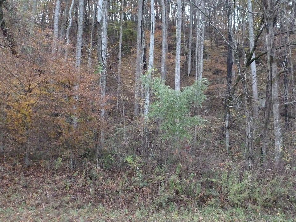 2nd image of Stewart Rd