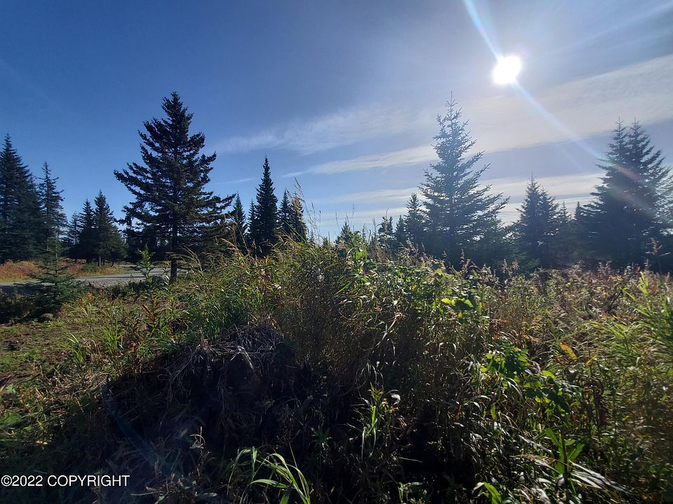 2nd image of 67761 Shavila Rd