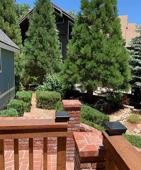 736 Brentwood Dr — Photo 14