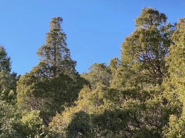 Taos Canyon X Sombra Del Oso Rd, Taos, NM 87571