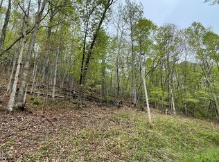 31 Nelson Rd, Hayesville, NC 28904