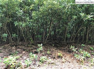Tbd Gumtree Rd, Beech Mountain, NC 28604