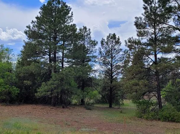 30 High Drive, Pagosa Springs, CO 81147