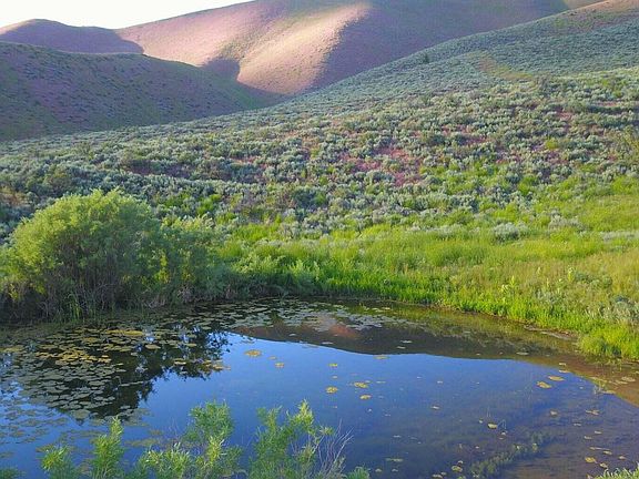 2nd image of 100 Water Gulch Rd