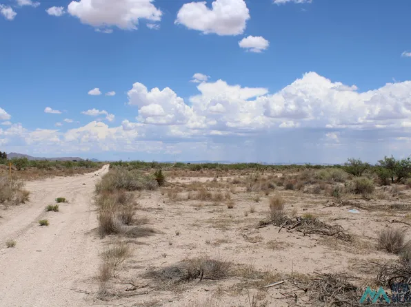 Tomorrow Land Estates Bk D, Deming, NM 88030