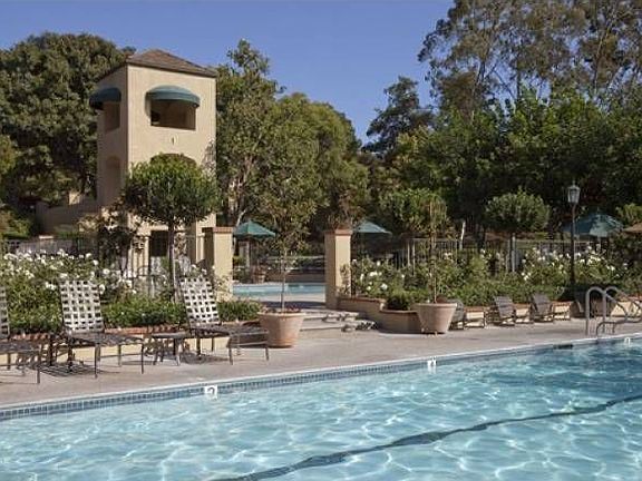 Two Sparkling Pools