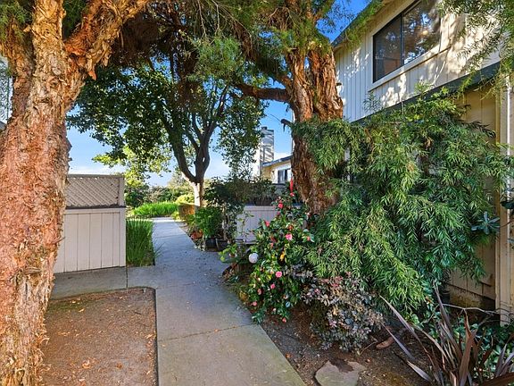 3rd image of 229 Silver Leaf Dr APT B