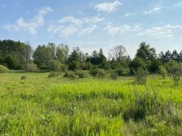 9000 Chase Bridge Rd, Roscommon, MI 48653