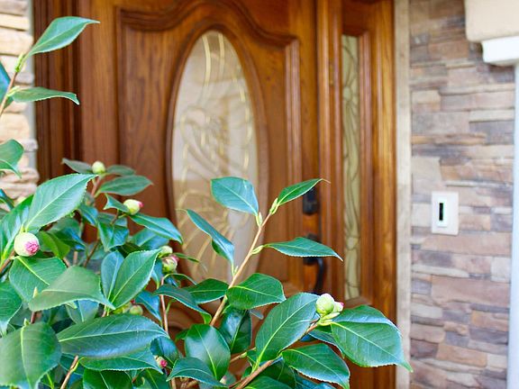 Picture yourself coming home!