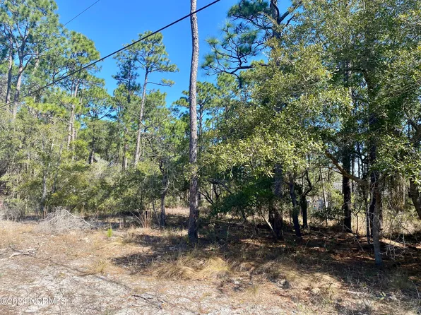 Lot 20 Lexington Road, Boiling Spring Lakes, NC 28461