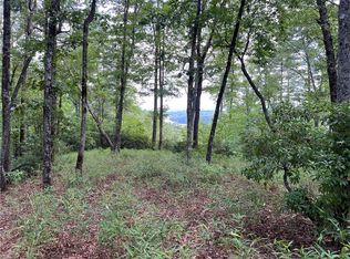 206 Eastatoe Pkwy, Sunset, SC 29685