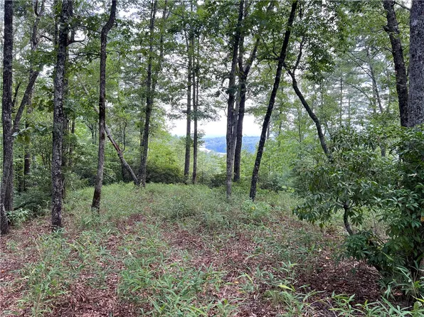 206 Eastatoe Pkwy, Sunset, SC 29685