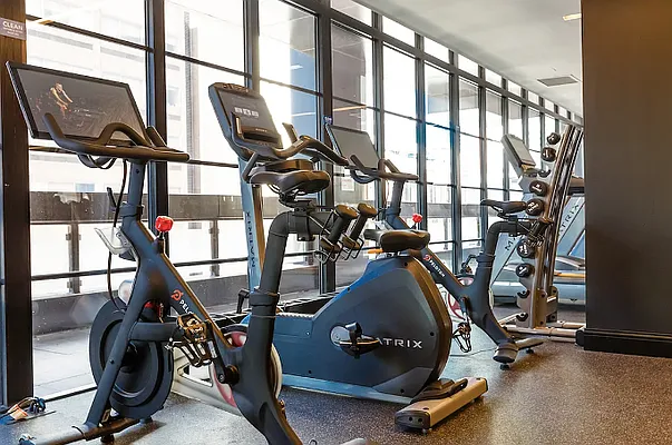 Rented by Living New York | media 15