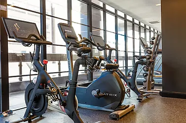 Rented by Living New York