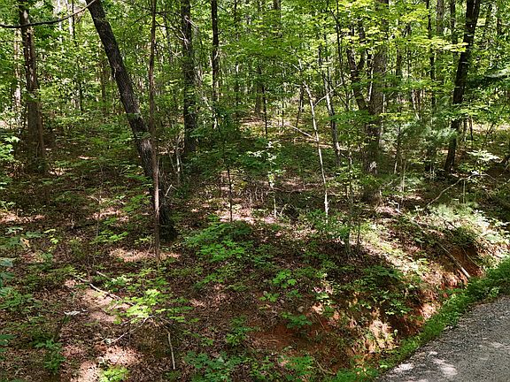2nd image of LOT 183 Hillside Rd