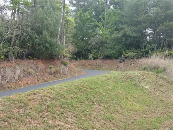LOT 4 Brasstown Vw, Brasstown, NC 28902