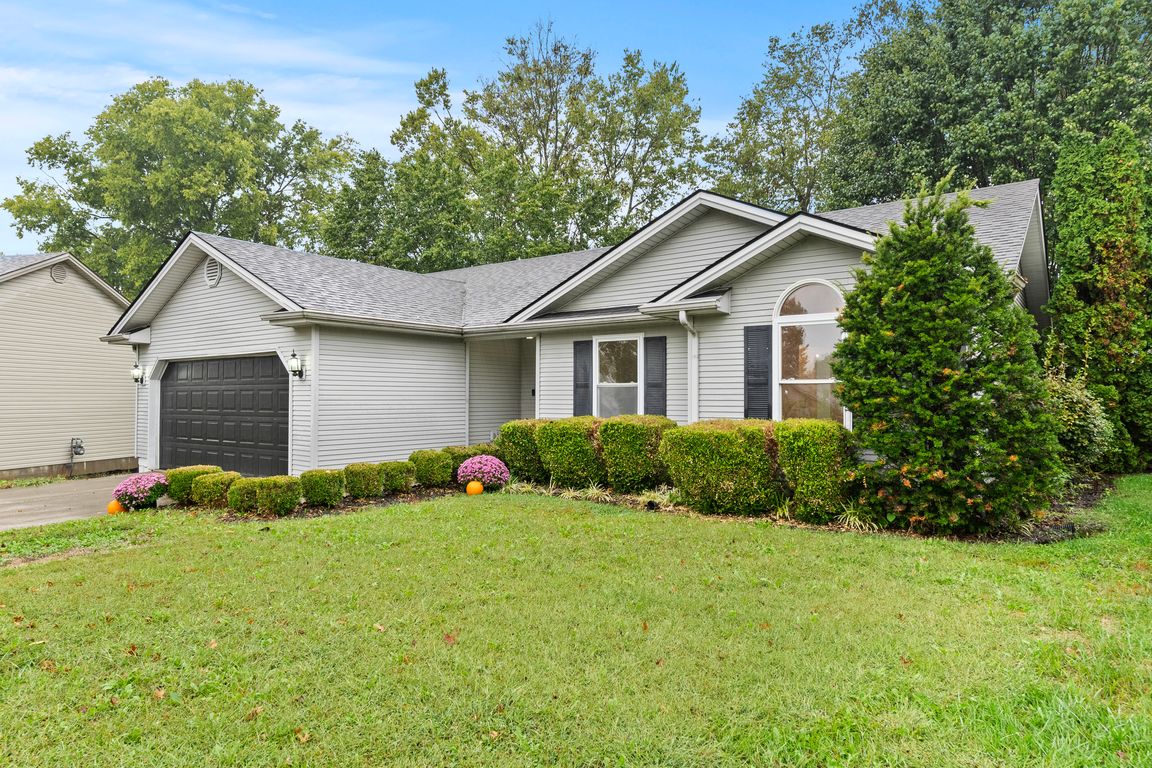 next background image