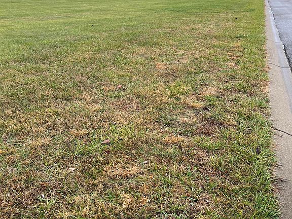 5th image of LOT 42 Three Wood Ln