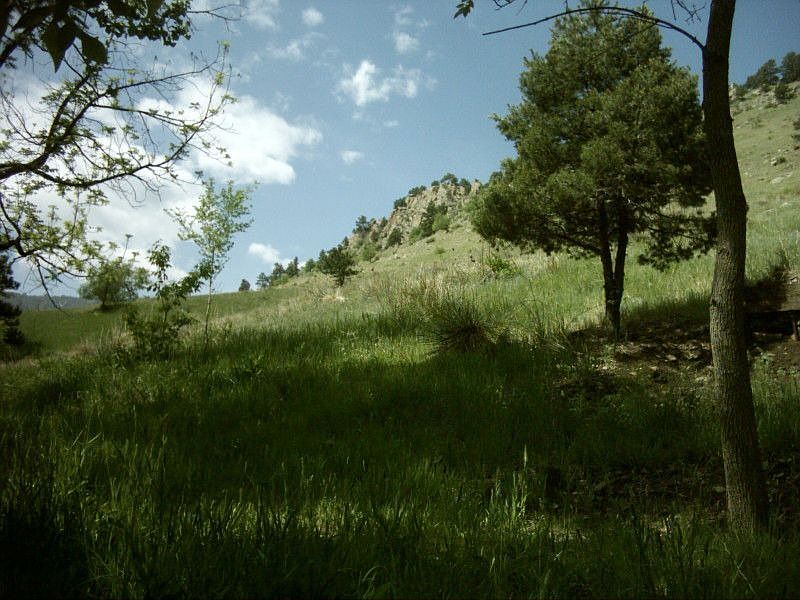 2nd image of 3125 3rd St
